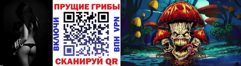 даркнет сайт  Тетюши  Псилоцибиновые грибы MAGIC MUSHROOMS 